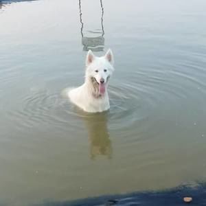 Meet your Posher, Rena